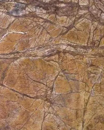 Rainforest sandstone slab